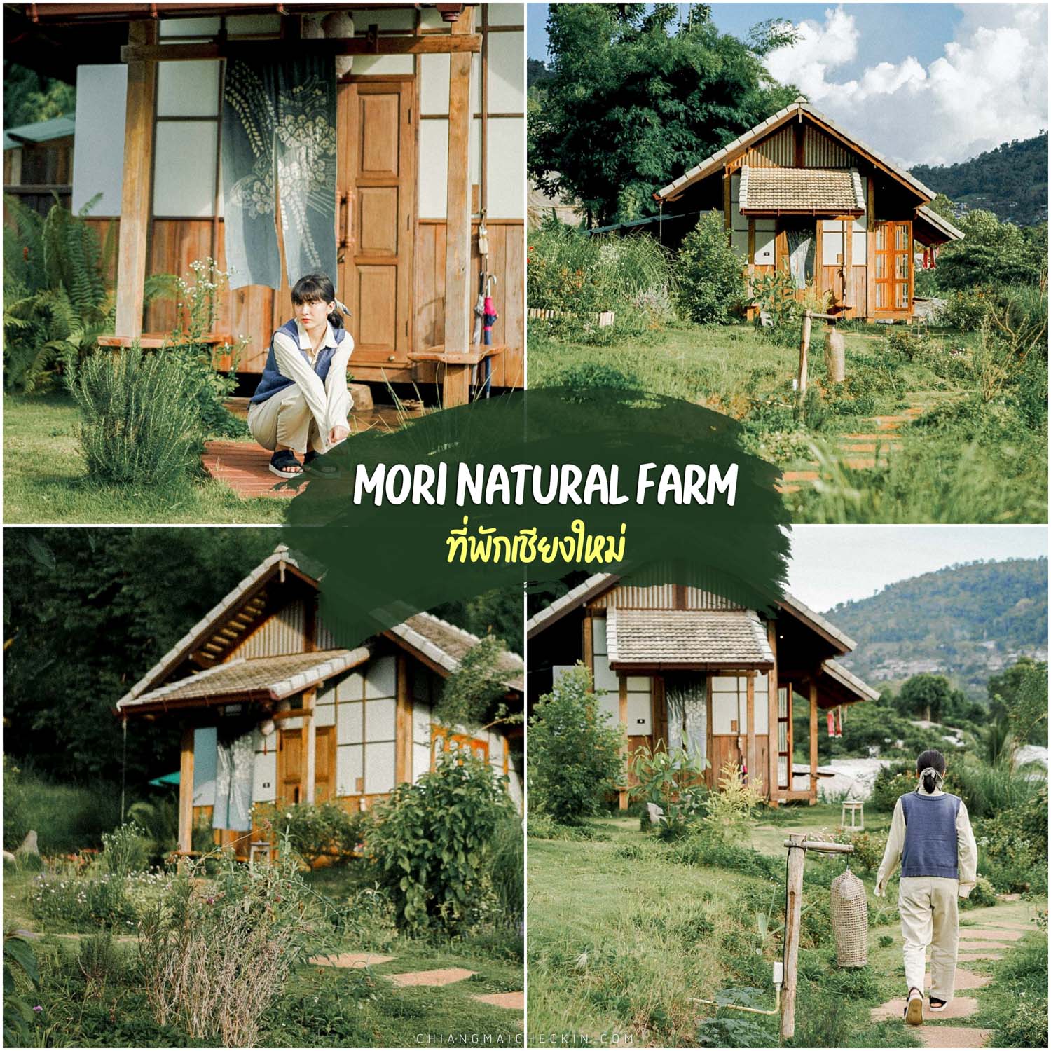 Mori-Natural-Farm-เชียงใหม่  ที่พักเชียงใหม่,วิวหลักล้าน,โรงแรม,รีสอร์ท,ป่า,เขา,ธรรมชาติ,chiangmai