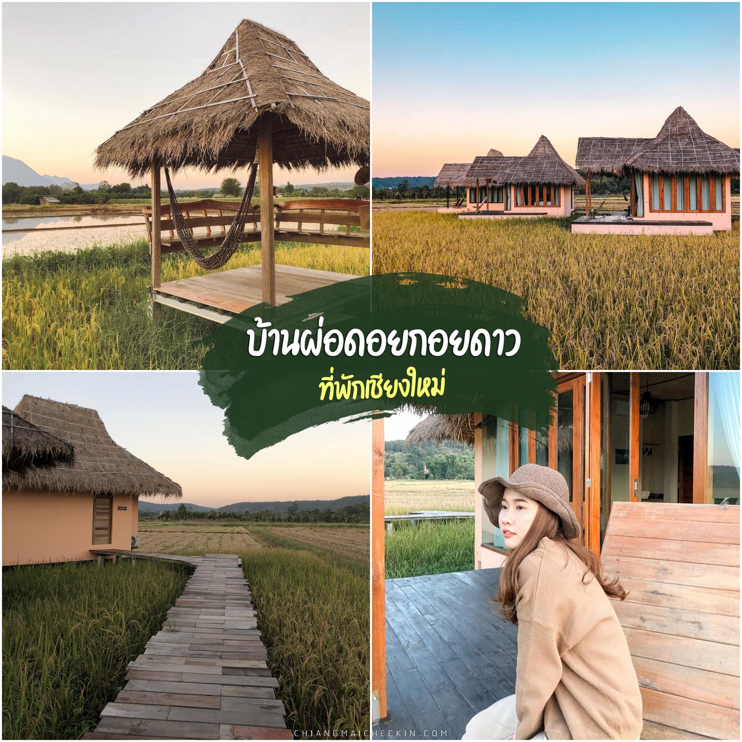 Ban Pho Doi Koi Dao Chiang Mai accommodation The atmosphere is in the middle of a field, the air is good, fresh, quiet, with a view of Doi Luang Chiang Dao and surrounding mountains.