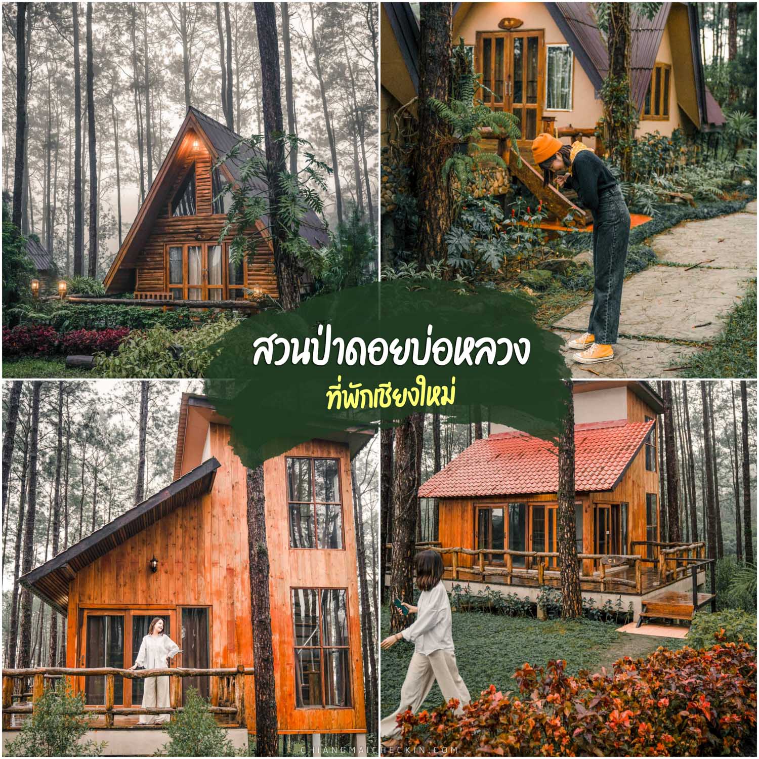 Doi Bo Luang Forest Park, Chiang Mai, the most beautiful accommodation in the middle of a pine forest, extremely natural, the atmosphere is like a house in a story. In the morning there was a lot of fog.